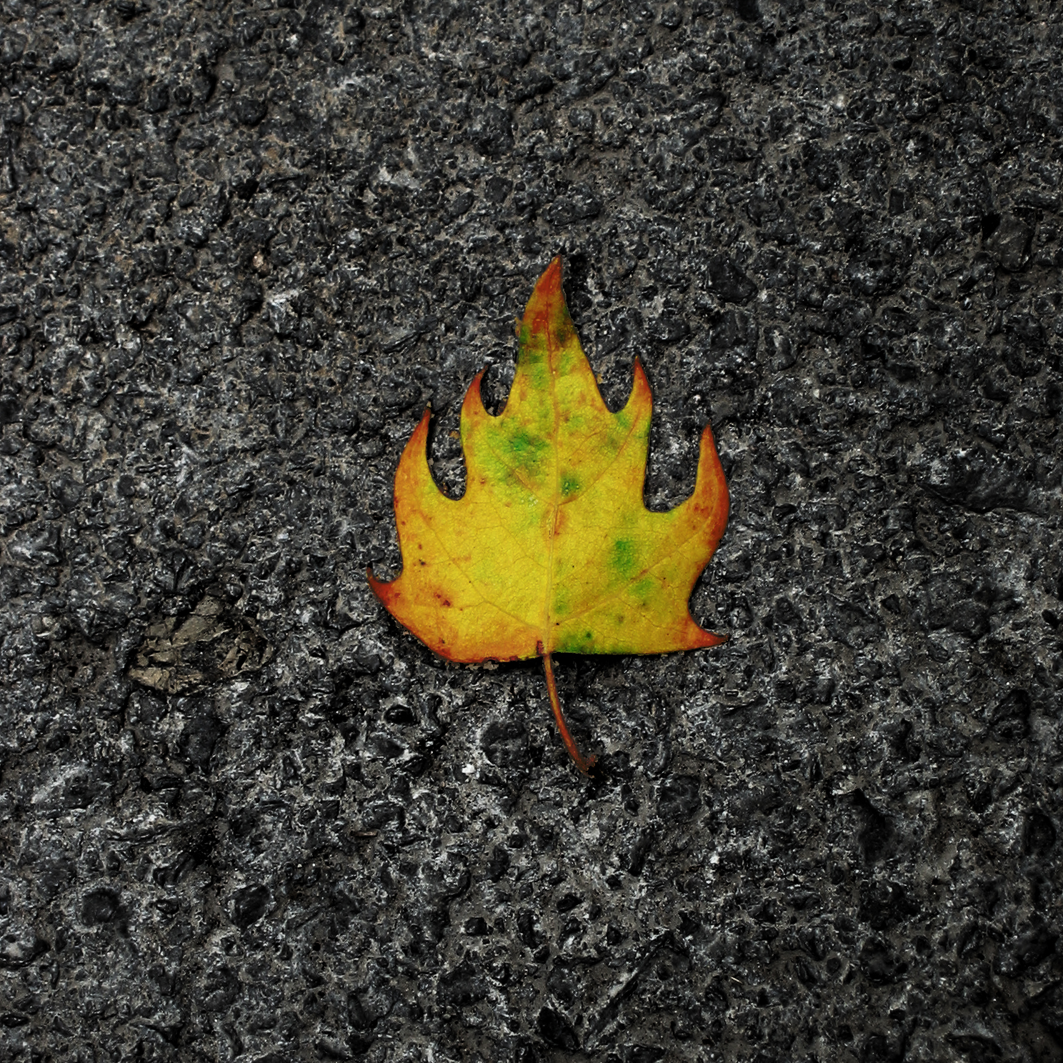 Burning leaf